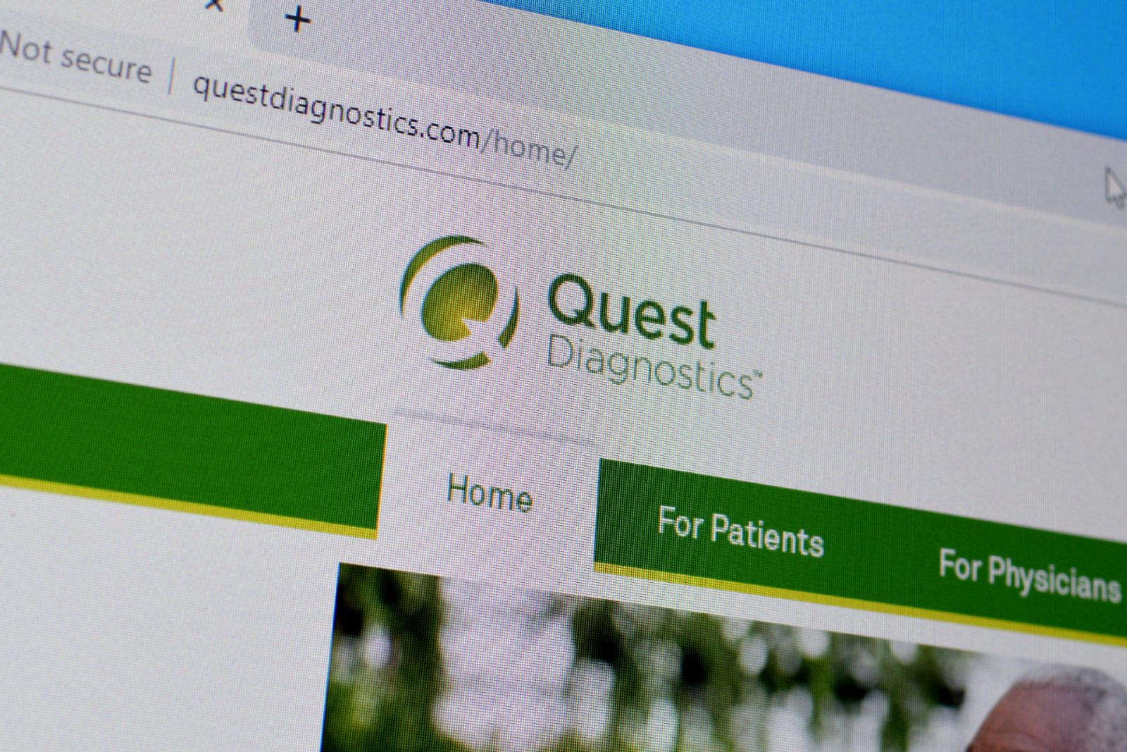 quest diagnostics test safeway drug test review