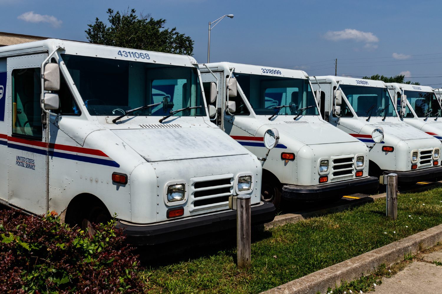 U.S. Postal Service vehicles are parked in a row - ballot delivery