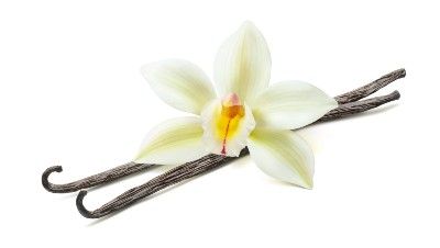 Vanilla with flower - Core Power protein shake
