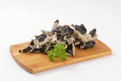 Wood ear mushrooms possibly linked to salmonella outbreak. 
