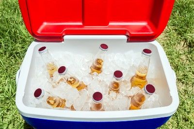 The tops of beer bottles stick out from the ice in a blue cooler with a red lid - Igloo coolers