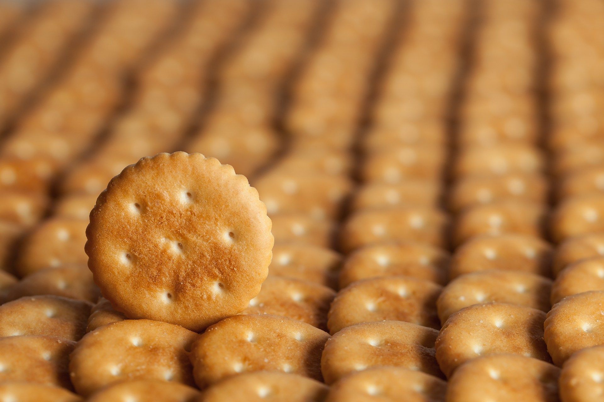 One circular cracker stands on end among rows of circular crackers lying flat - Pepperidge Farm Golden Butter Crackers
