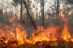 Sonoma County fires caused incredible damage.