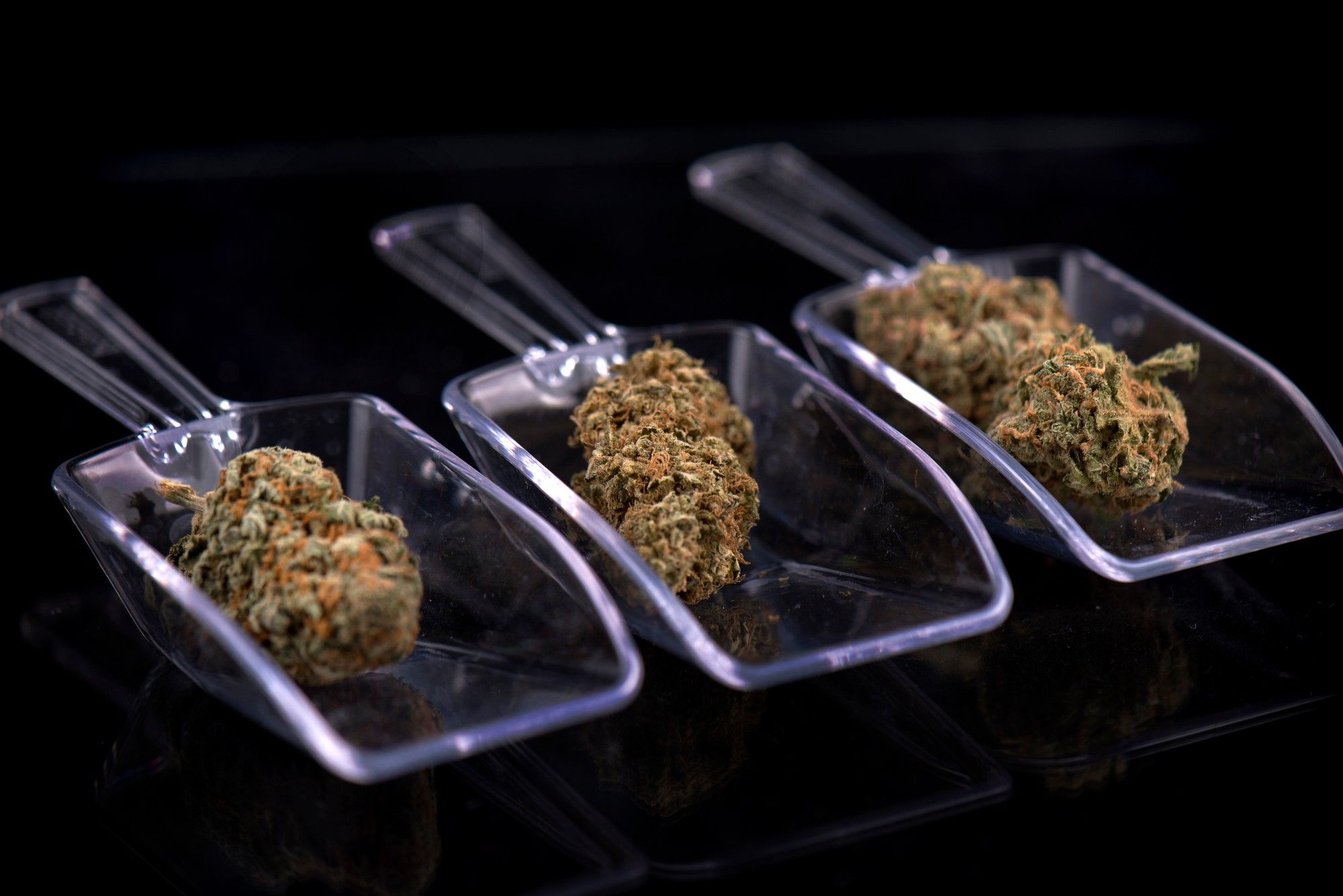 Close up of marijuana vuds