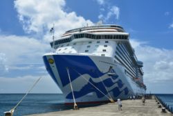Passengers' agreements preclude class action against Princess Cruise Line.
