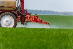 Why is glyphosate herbicide banned in France?