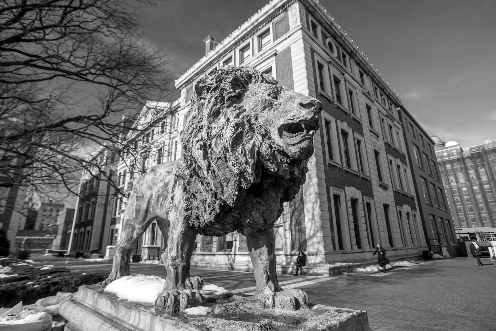 Should You File a Columbia University Lawsuit for Sexual Assault by Dr