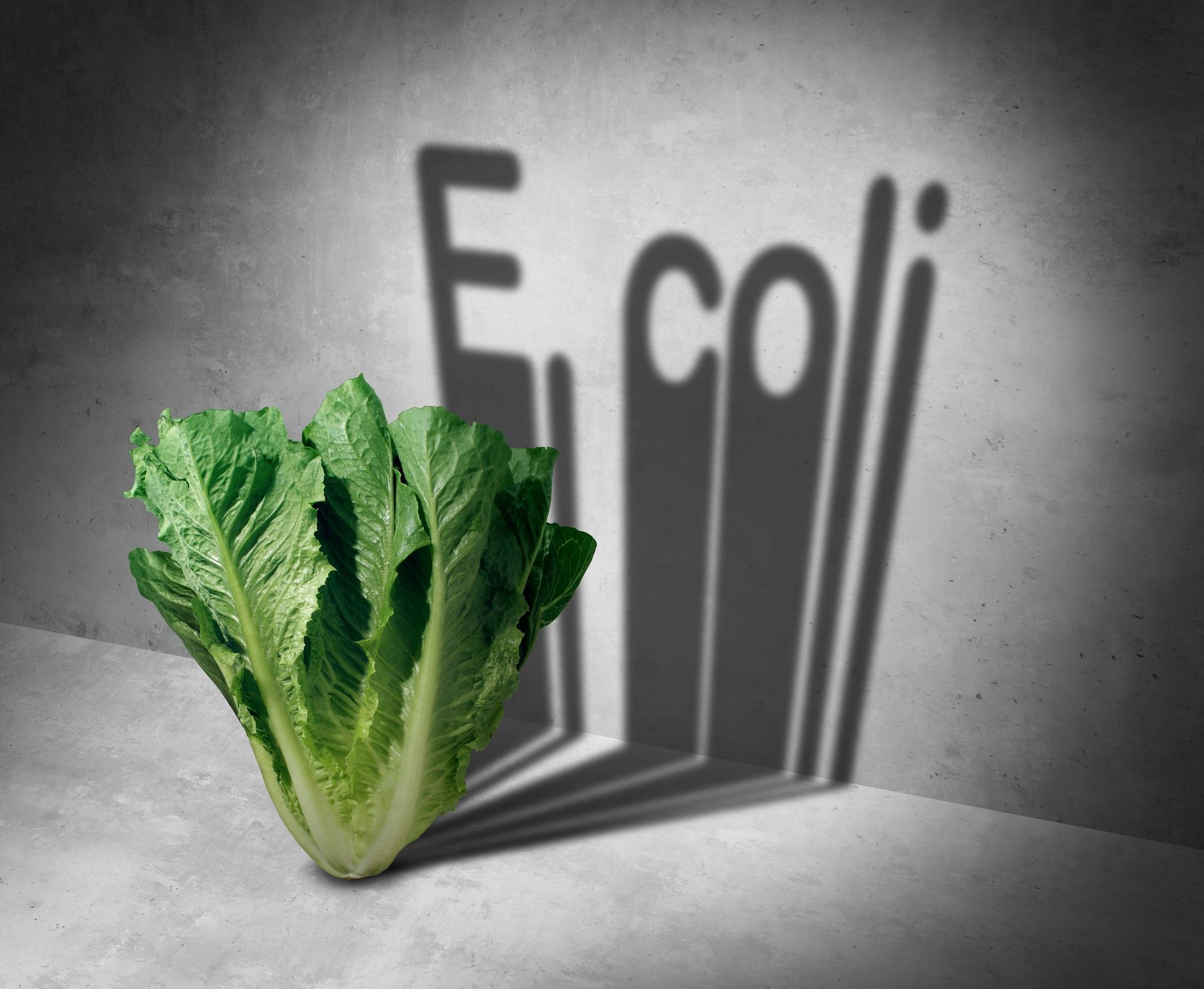 https://s40123.pcdn.co/wp-content/uploads/2020/11/lettuce-e-coli.jpg.optimal.jpg