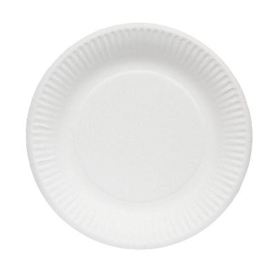 A paper plate - Chinet disposable plates
