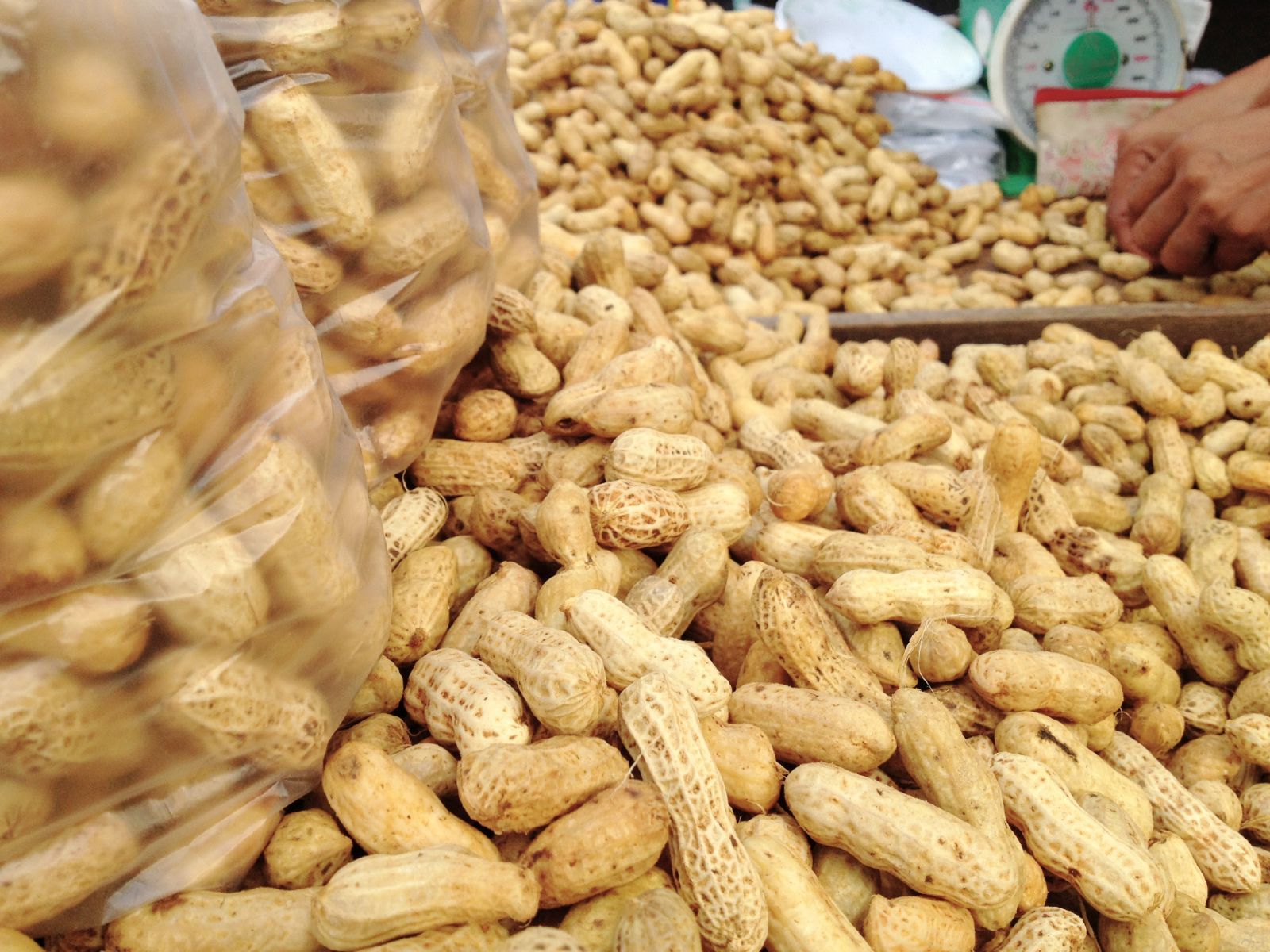 A person weighs whole peanuts - peanut farmers
