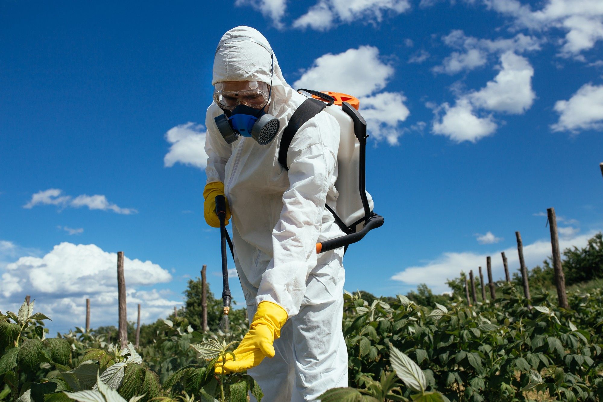 Roundup herbicide is the subject of numerous lawsuits.