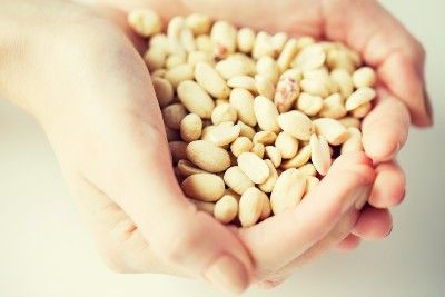 Closeup of a woman's hands holding peanuts - peanut farmers