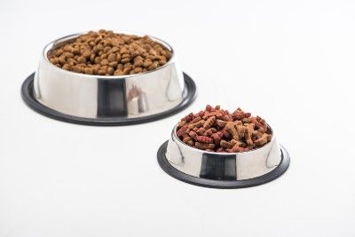 Pet food in silver bowls