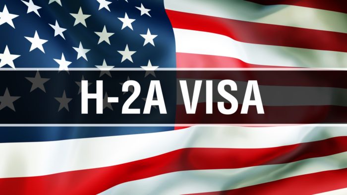 h-2a visa image