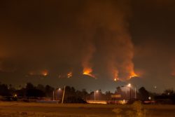 What is the settlement for the Thomas Fire?