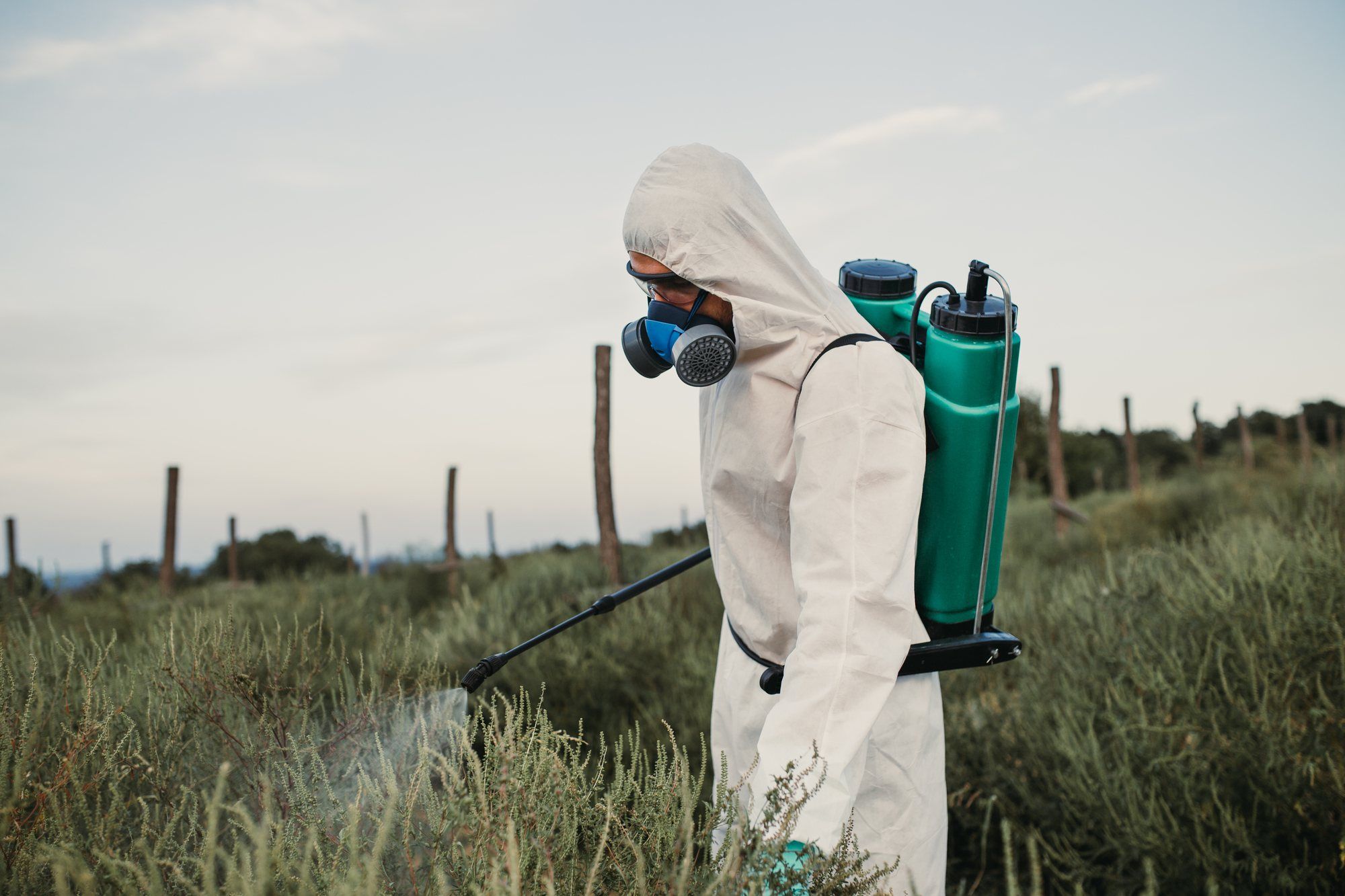 agricultural worker spraying herbicide on field