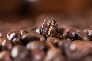Coffee beans - Kona coffee farmers