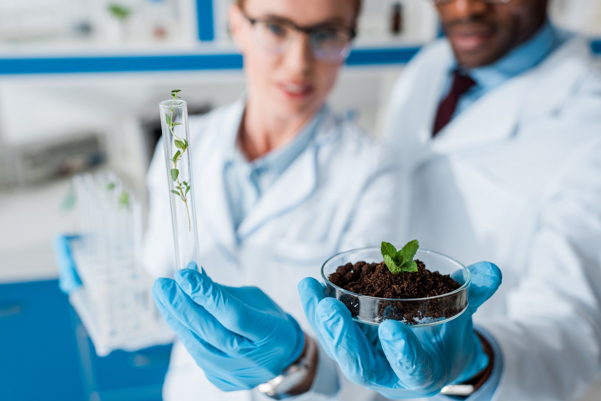 scientists studying plants and herbicide in lab