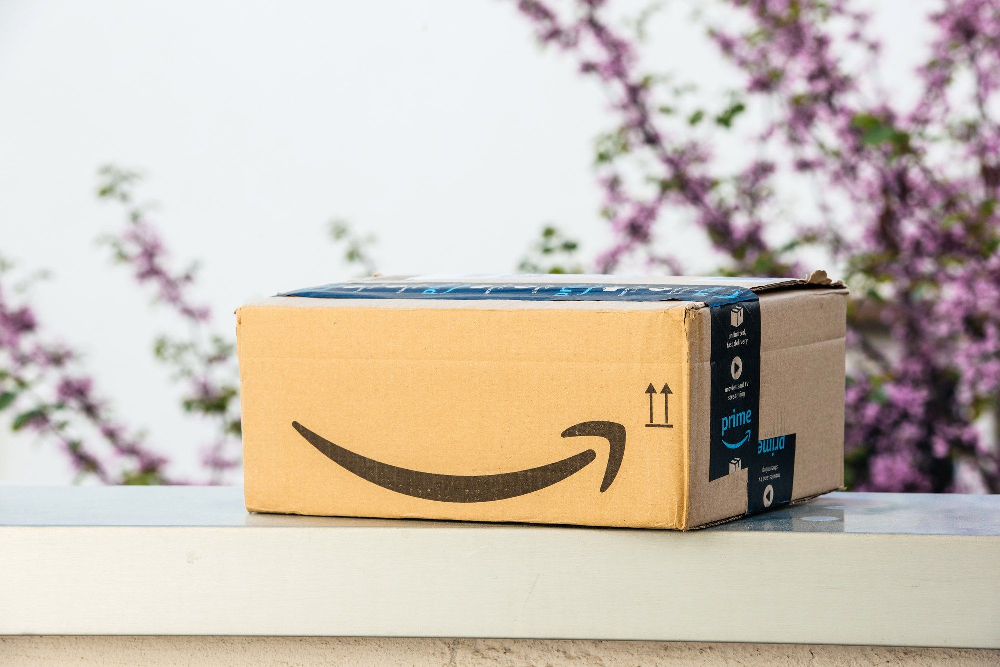 Class action accuses Amazon, publishers of price-fixing books