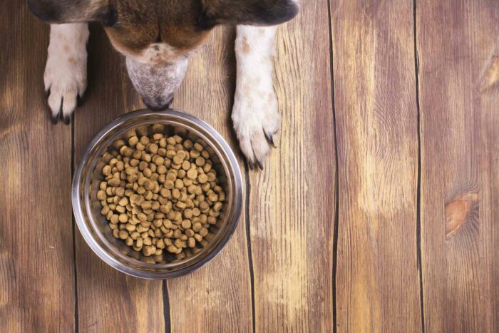 Sunshine Mills Recalls Dog Food due to Risk of Salmonella