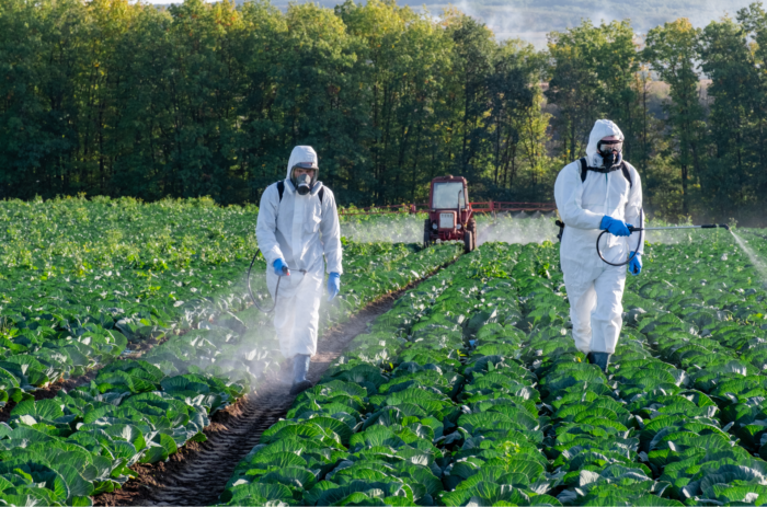 farm workers spraying dangerous herbicide