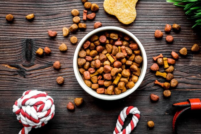 A class action lawsuit alleging that Champion Petfoods USA Inc. misled consumers by saying that its dog food was regionally sourced and failing to disclose it could contain trace amounts of heavy metals has been shut down by an appellate court.