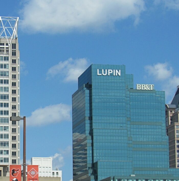 Lupin building online blocks