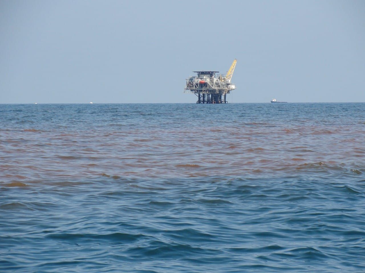 28 Deepwater Horizon Cleanup Workers Should Not Take Part in BP