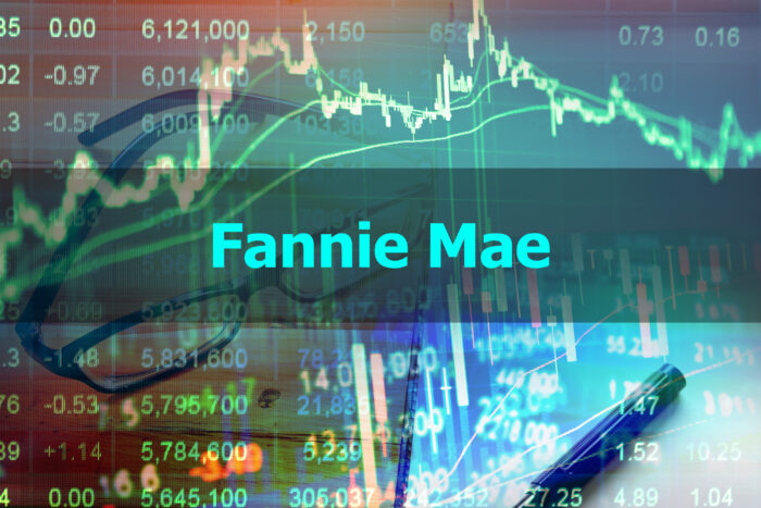  Fannie Mae, Freddie Mac, class action, stock