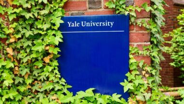 Yale University sign on brick building surrounded by green vines -