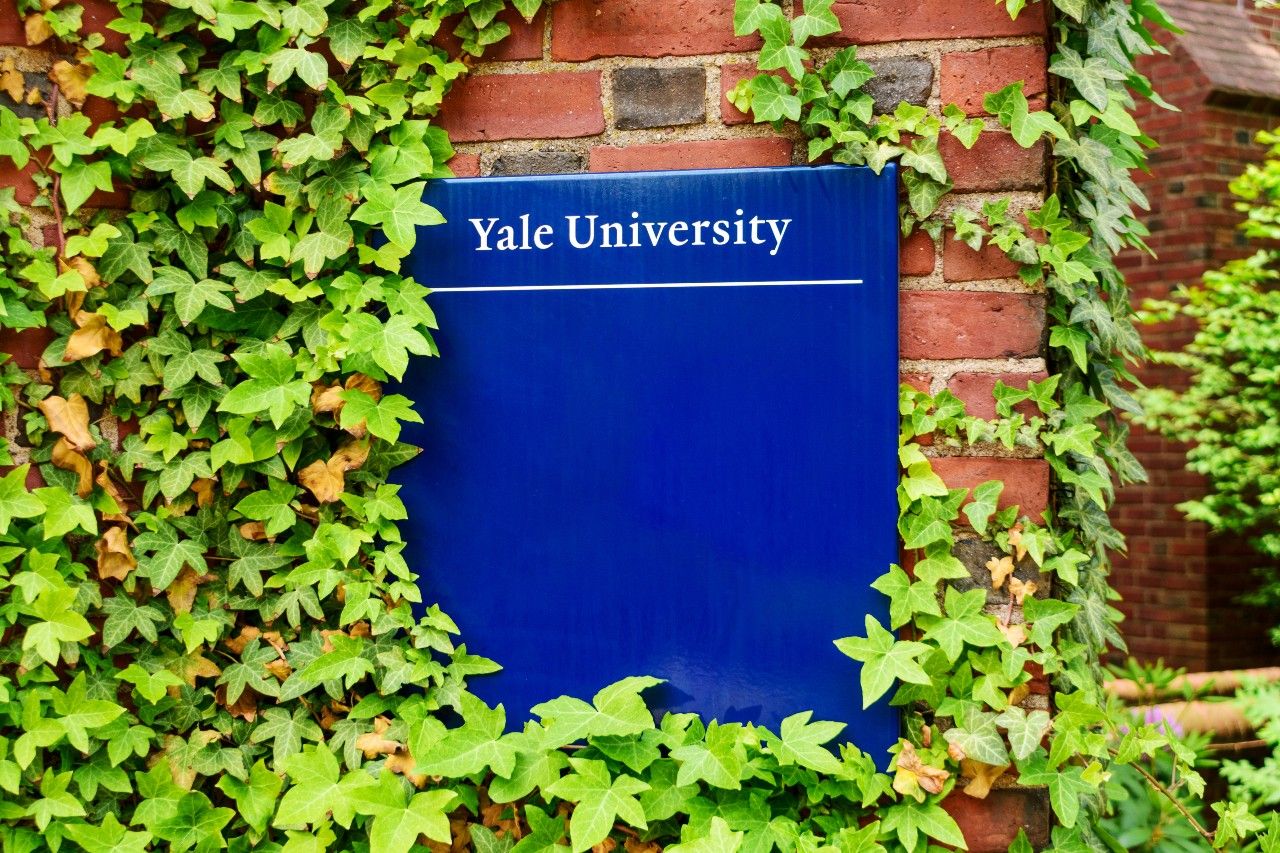 Yale University sign on brick building surrounded by green vines -