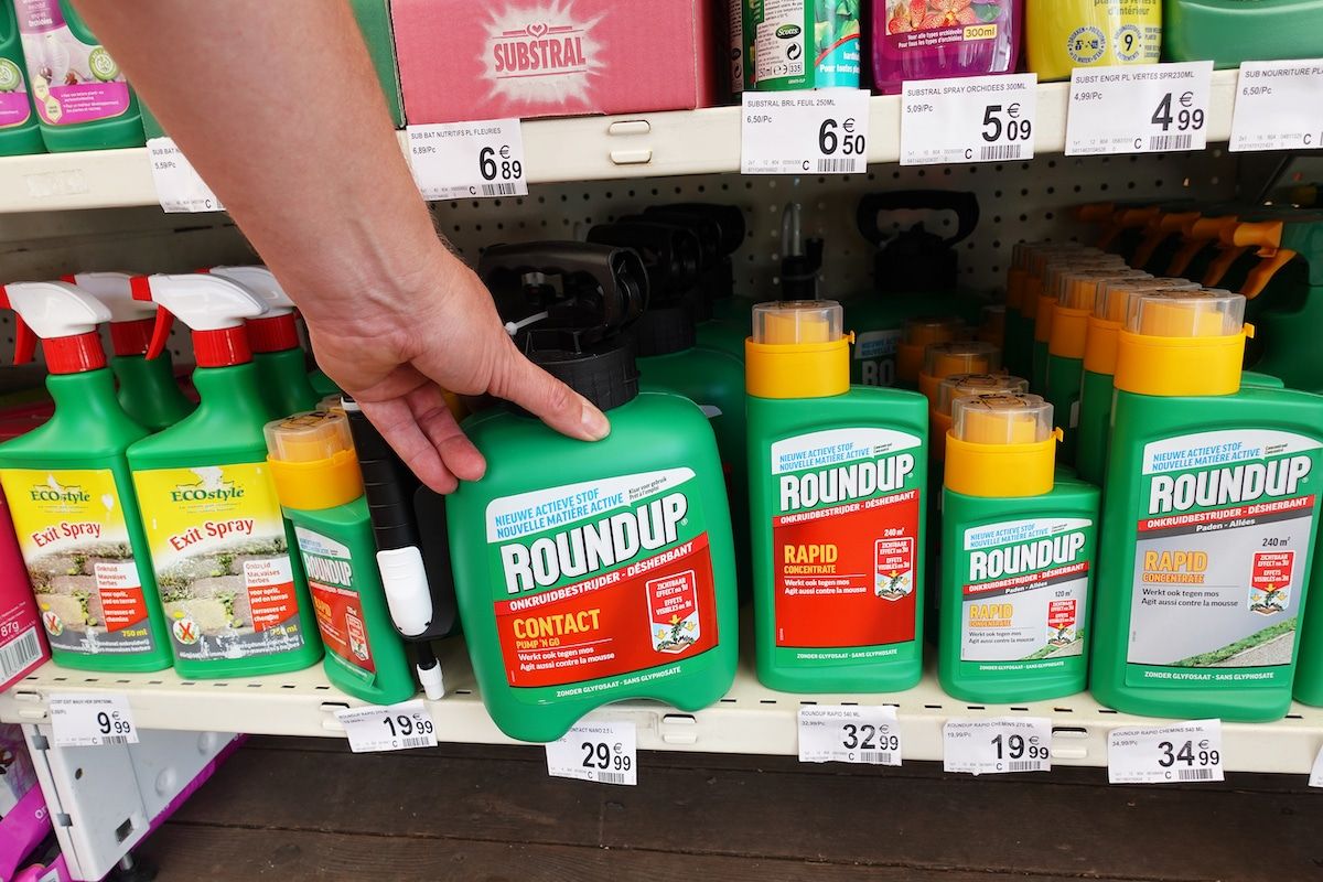 Roundup lawsuit alleges product 'dangerous to human health'