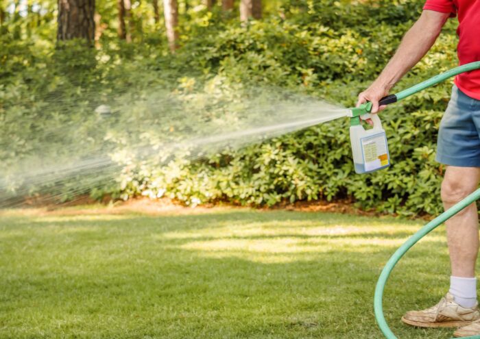 A man in a red shirt and jean shorts sprays weed killer on grass - roundup settlement