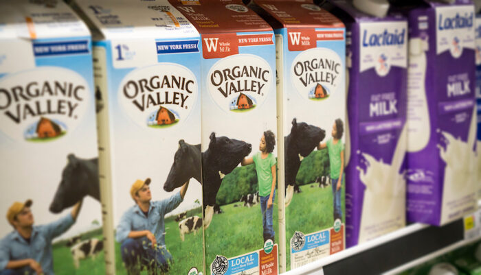 Containers of Organic Valley brand organic milk in a supermarket.