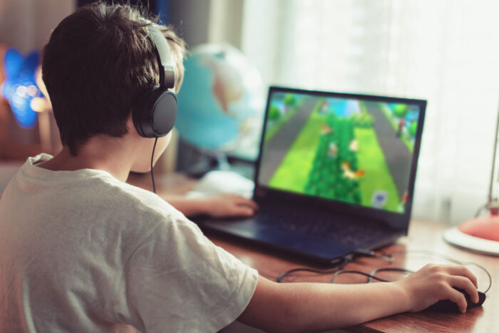 Young boy playing a game on a laptop computer - neopets, privacy