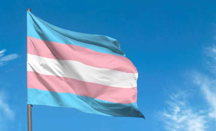Transgender flag waving against blue sky, transgender pride flag in a street.