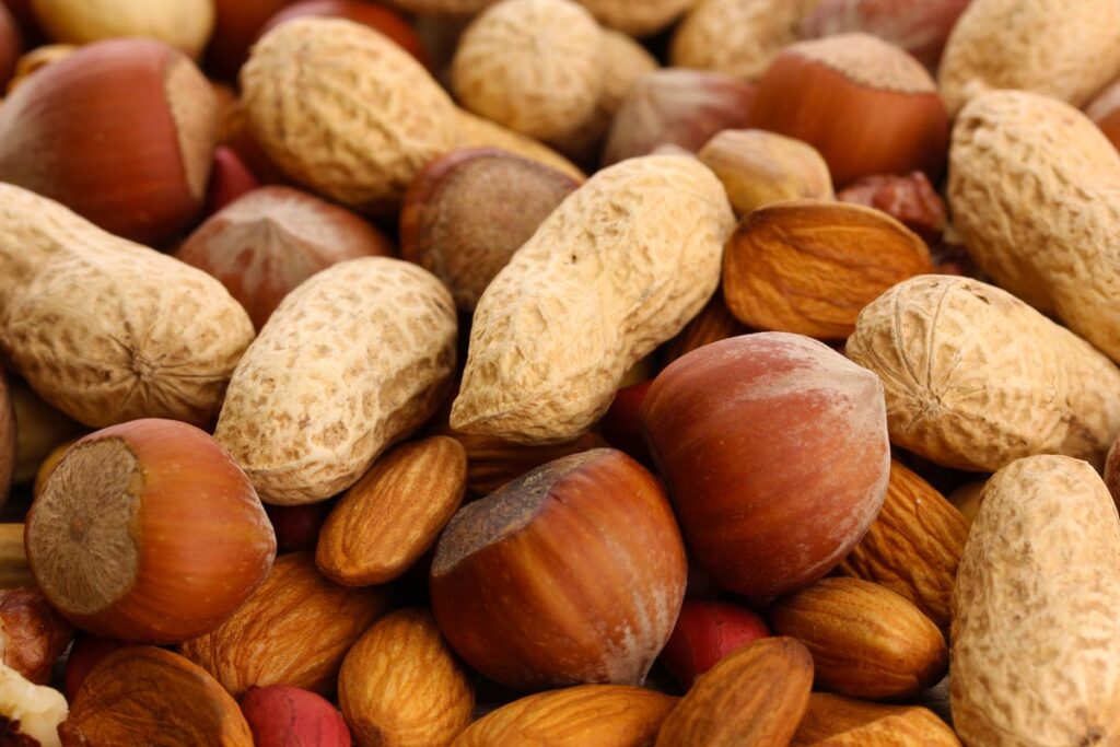 Close up of various nuts.