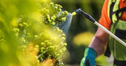 Gardener spraying pesticides