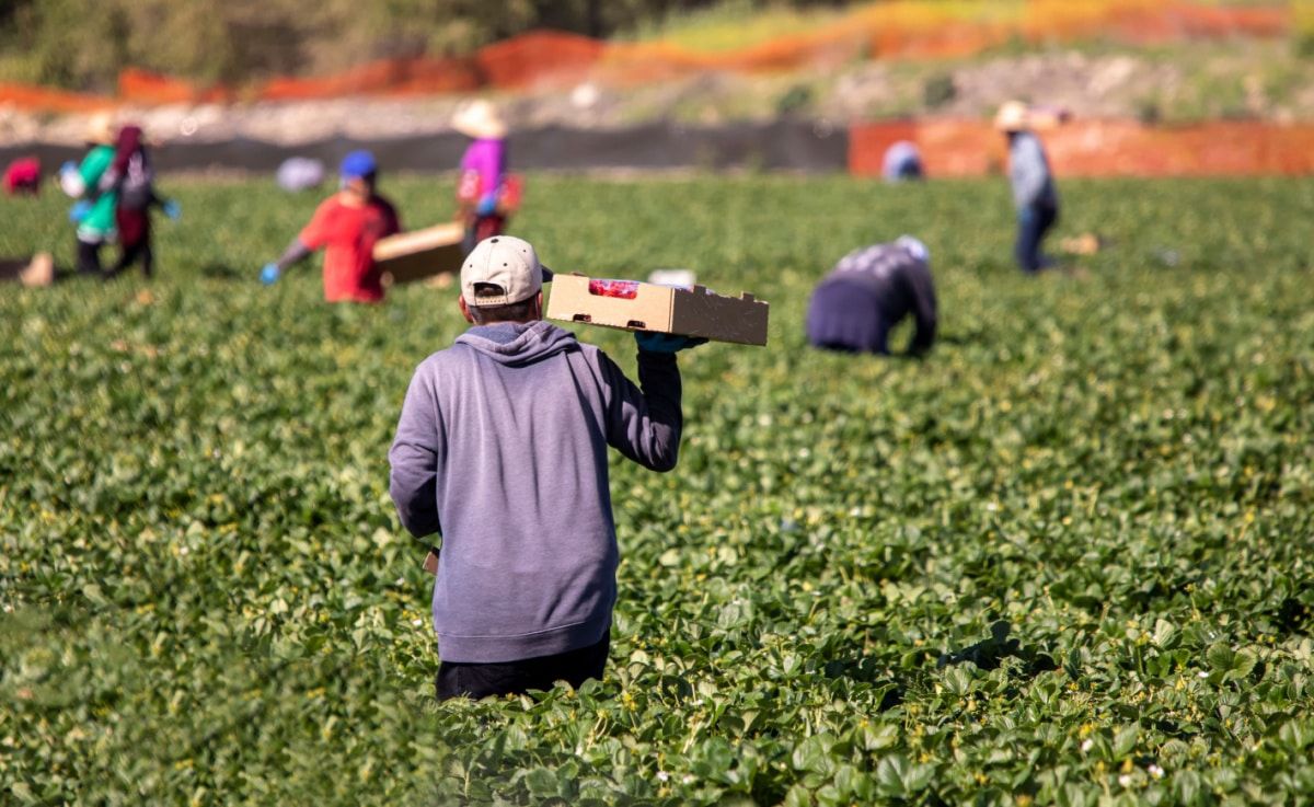 Georgia farm workers class action alleges labor trafficking