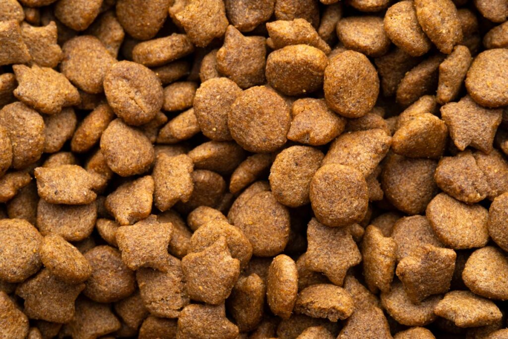 Close up of dry dog food kibble, representing the Midwestern Pet Foods class action lawsuit settlement.
