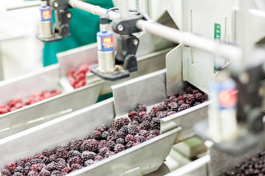 Close up of frozen fruit in a sorting machine, representing the Kroger frozen fruit recall.