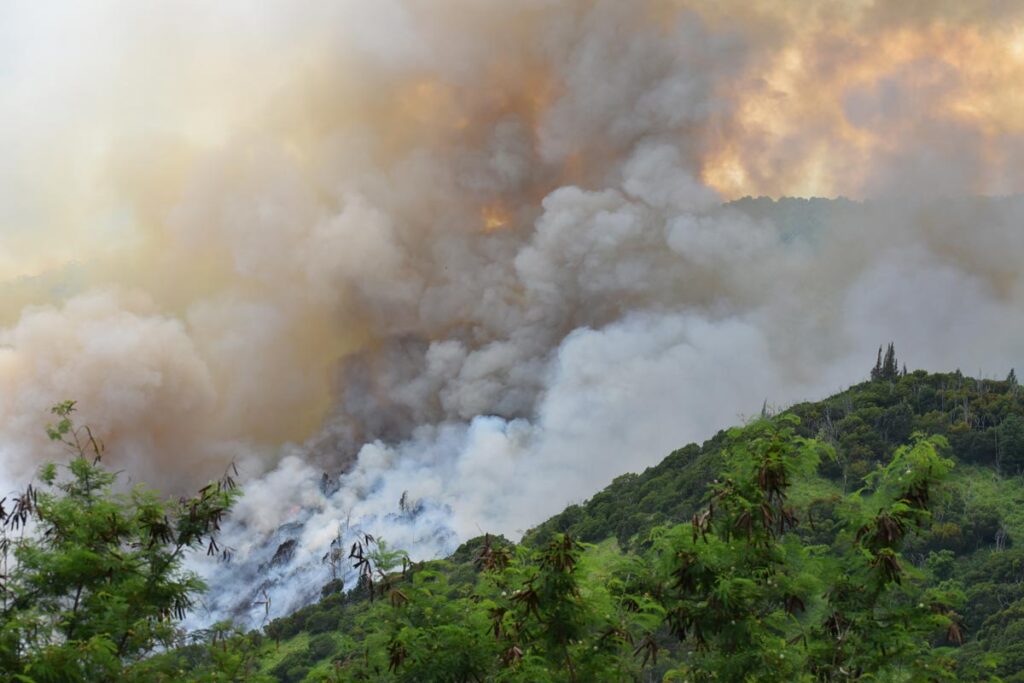 Photo of wildfire in Hawaii, representing the Maui wildfires lawsuit.