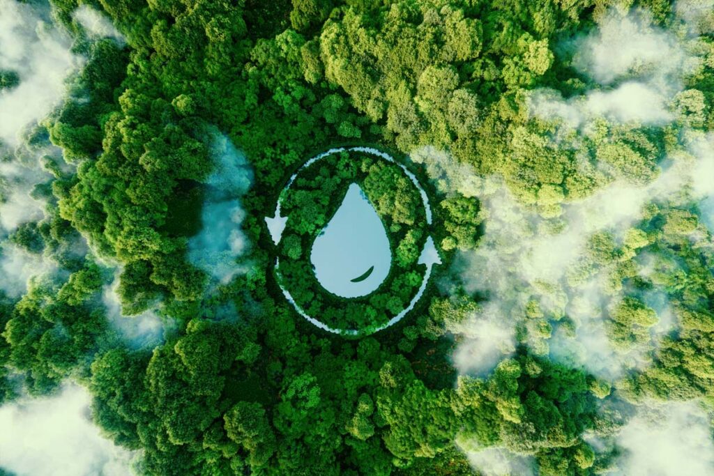 Aerial view of a water droplet shaped lake in nature, representing the Biden conservation and water projects.
