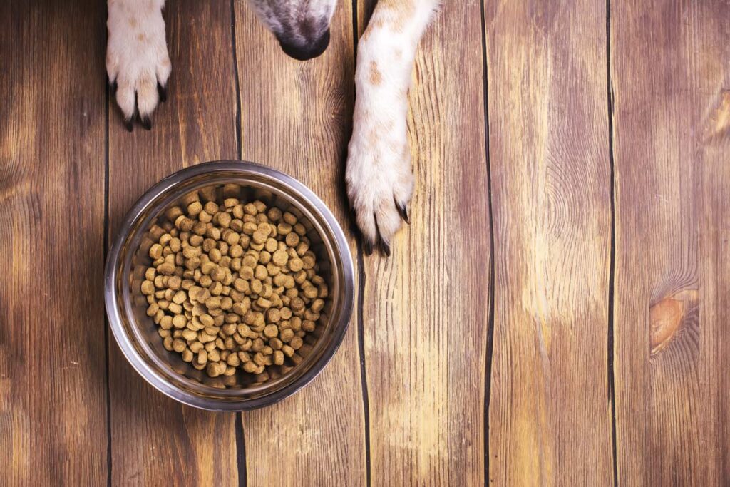 Recall announced for dry dog cat catfish food due to potential