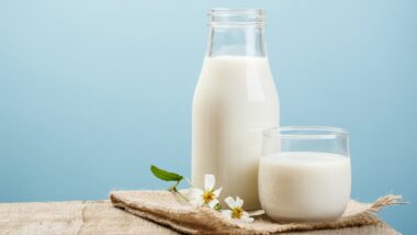 A glass bottle of milk sits next to a short glass of milk, sitting with small white flowers on wooden table against a blue background, representing the Lyons Magnus class action lawsuit settlement.