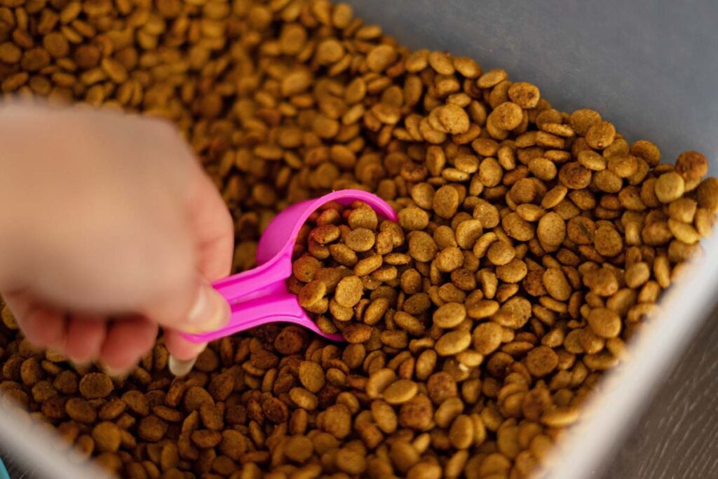 Close up of dry dog food kibble being scooped, representing the Mid-America Pet Food class action lawsuit.