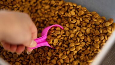 Close up of dry dog food kibble being scooped, representing the Mid-America Pet Food class action lawsuit.