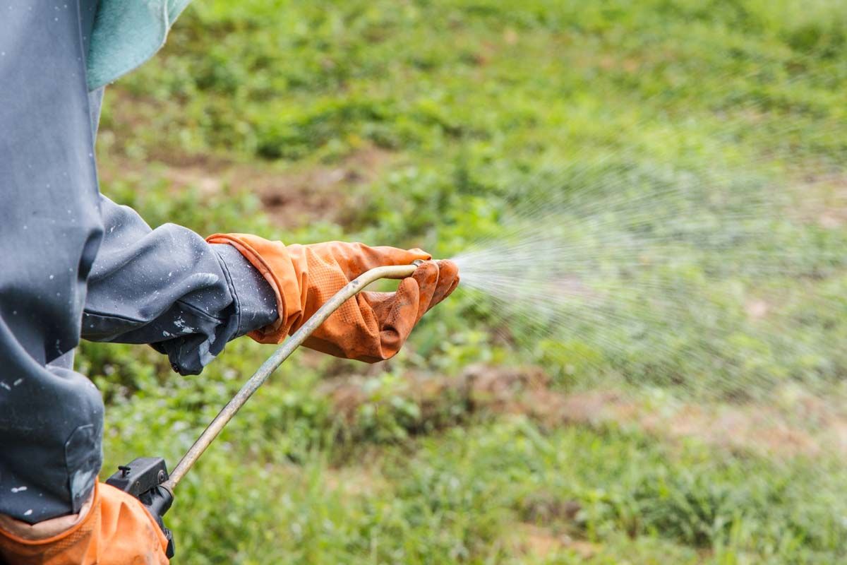 Close up of a farmer spraying herbicide, representing the Paraquat lawsuits.