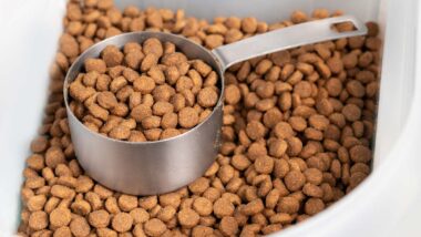 Close up of dog kibble in a container with a measuring cup, representing the Mid-America Pet Food class action.