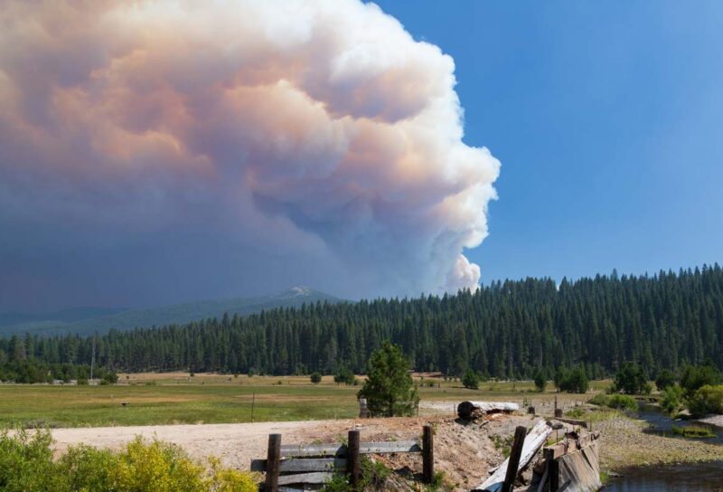 Smoke from the 2021 Dixie Fire burning emerging from a forest, representing the Pacific Gas and Electric lawsuit.